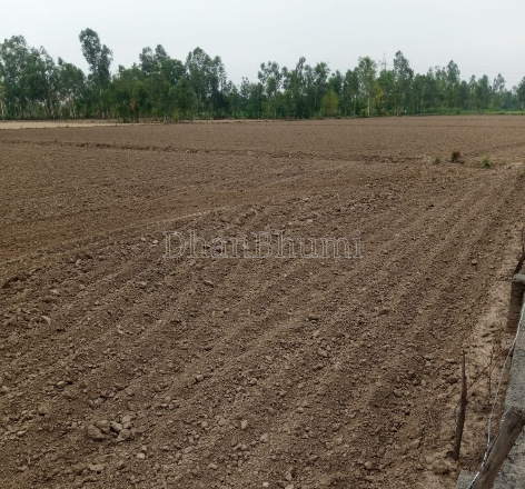 property_images/agricultural_in_shahjahanpur_1782285094_6a3b8326e6a53.png
