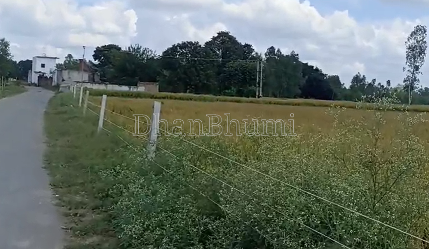 property_images/agricultural_in_shahjahanpur_1785392681_6a6aee29b7d67.png