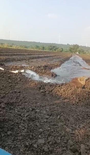 property_images/agricultural_in_shajapur_1780744307_6a240073166b3.jpg