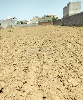 property_images/agricultural_in_shajapur_1783761742_6a520b4e93991.PNG