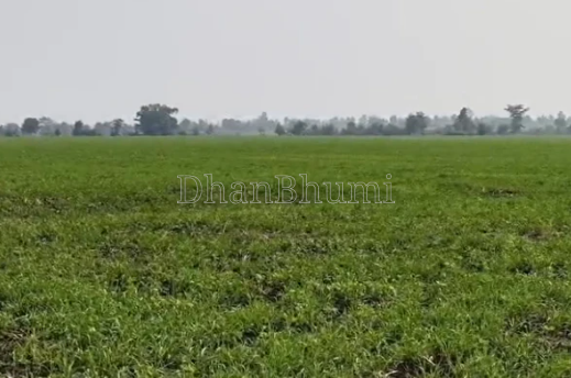 property_images/agricultural_in_shajapur_1789123930_6aa3dd5aa3686.png
