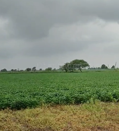 property_images/agricultural_in_shajapur_1790156169_6ab39d892b58f.png