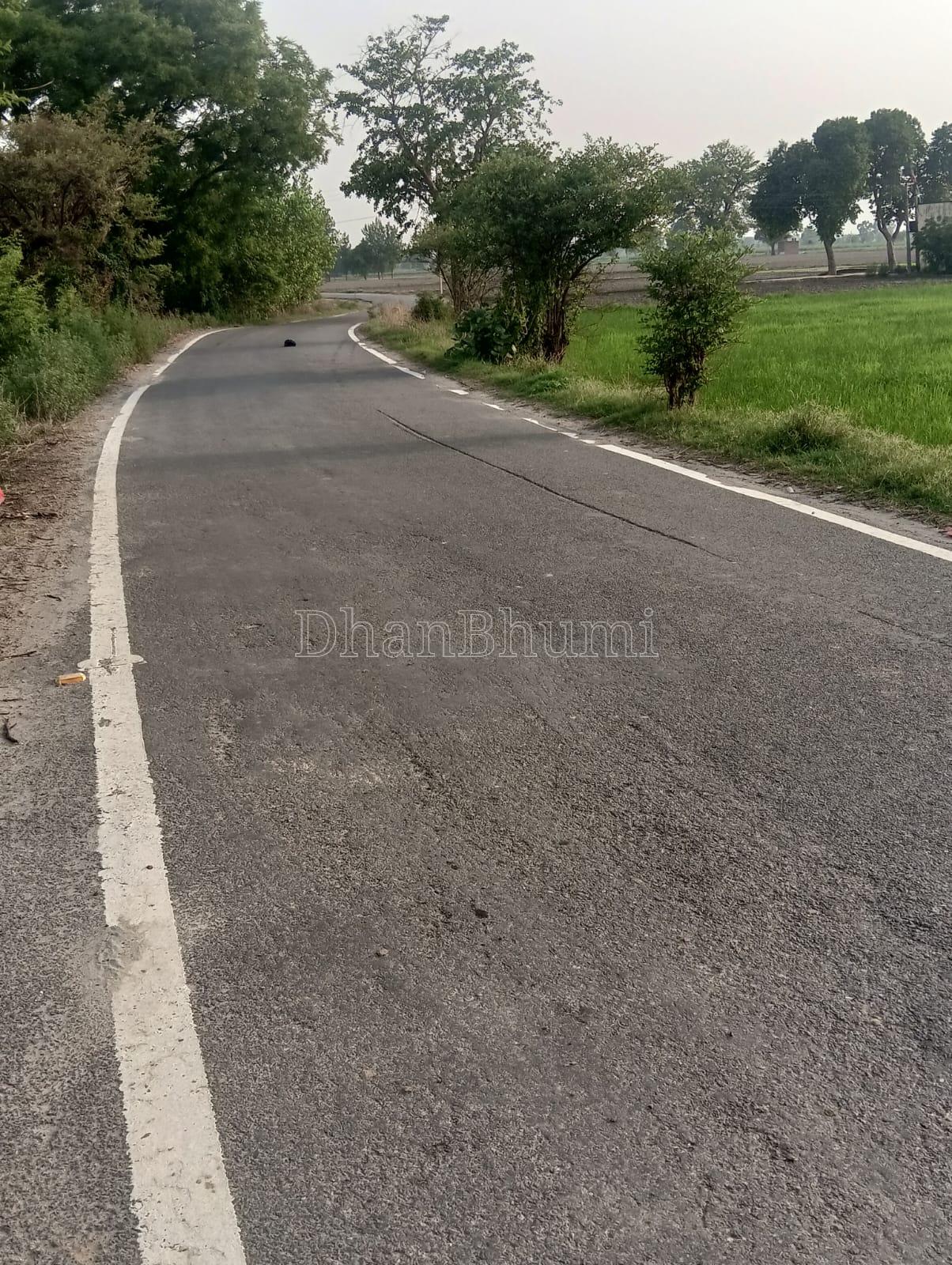property_images/agricultural_in_shamli_1782221884_6a3a8c3c3bf45.jpg