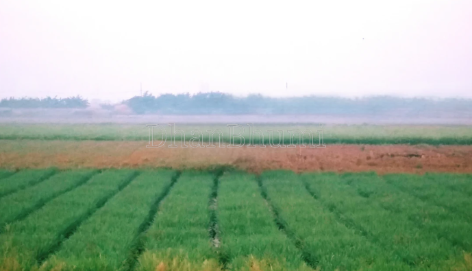 property_images/agricultural_in_shamli_1785483473_6a6c50d119557.PNG