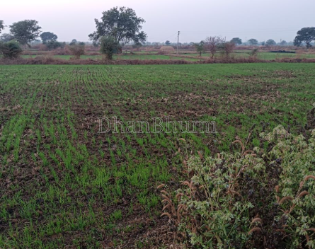 property_images/agricultural_in_shamli_1789539679_6aaa355f43bcc.png