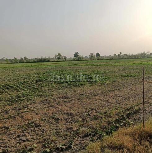 property_images/agricultural_in_shivpuri_1780640923_6a226c9bcb396.jpg