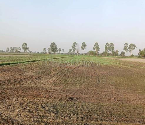 property_images/agricultural_in_shivpuri_1780641143_6a226d77895c9.jpg