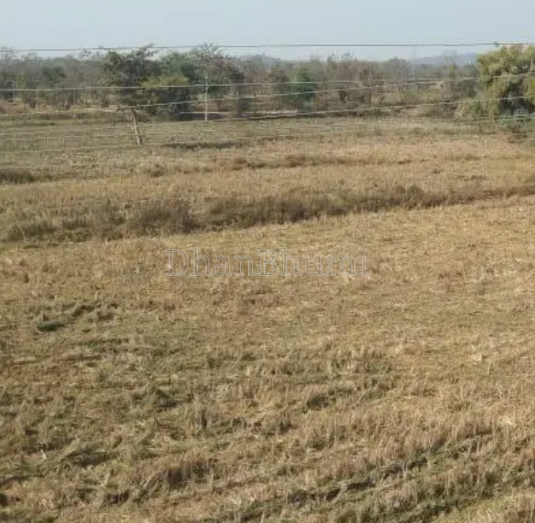 property_images/agricultural_in_shivpuri_1786095930_6a75a93abf10b.png