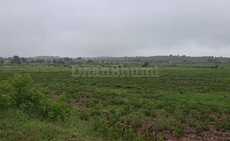 property_images/agricultural_in_shivpuri_1788948770_6aa1312239e16.png