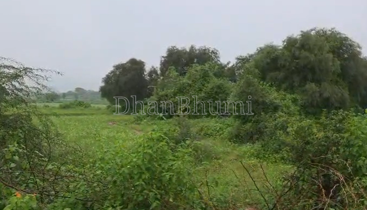 property_images/agricultural_in_shivpuri_1788949370_6aa1337a4e456.png