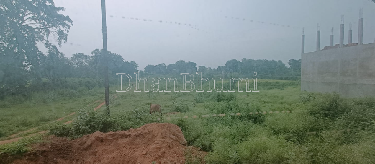 property_images/agricultural_in_shivpuri_1788950937_6aa139994134c.png