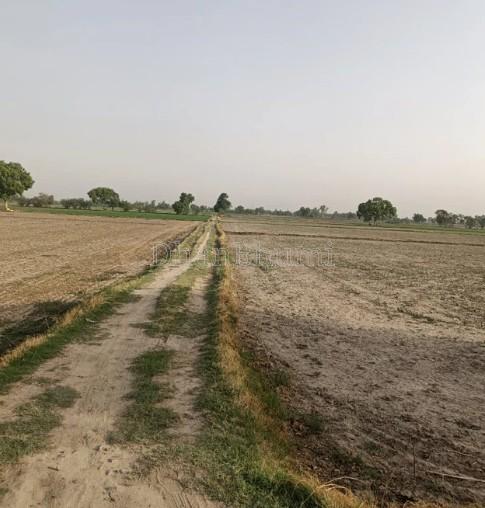 property_images/agricultural_in_sikar_1782471609_6a3e5bb991ddc.jpg