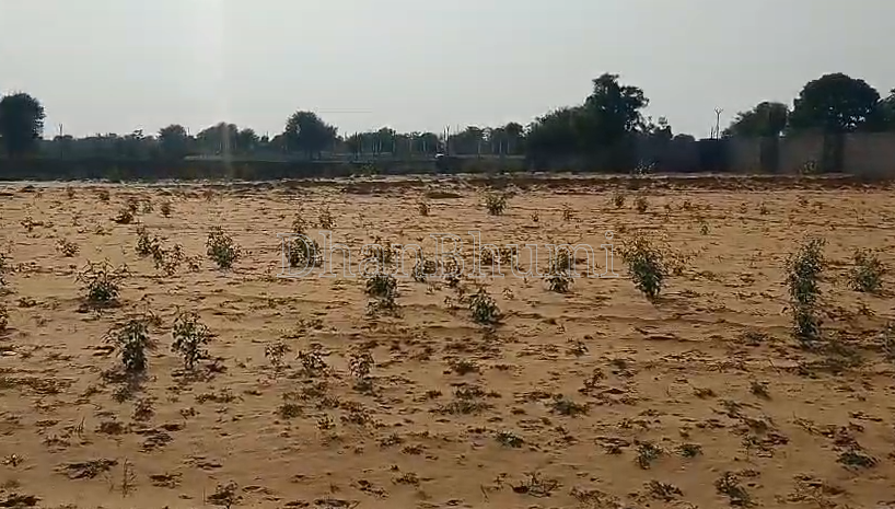 property_images/agricultural_in_sikar_1784626610_6a5f3db20fe44.png