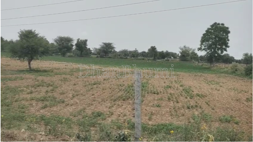 property_images/agricultural_in_sikar_1784627162_6a5f3fdac86f1.png