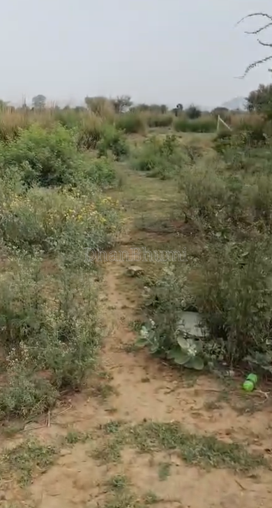 property_images/agricultural_in_sikar_1785565076_6a6d8f9480e0a.png