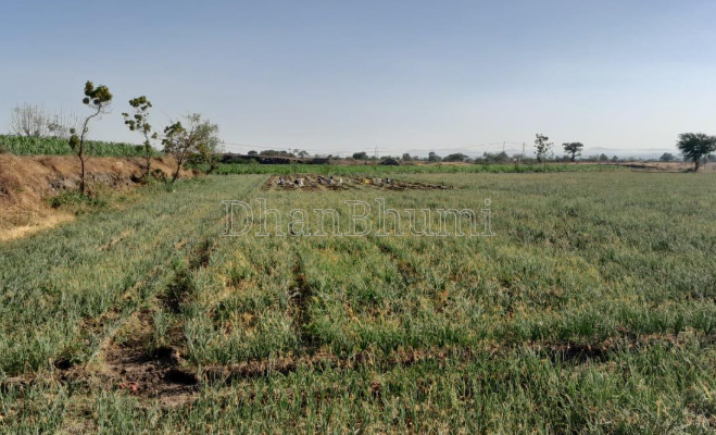 property_images/agricultural_in_sikar_1786186496_6a770b0079c55.PNG