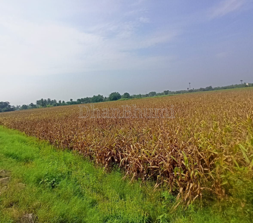 property_images/agricultural_in_sikar_1786951303_6a82b6879468a.png