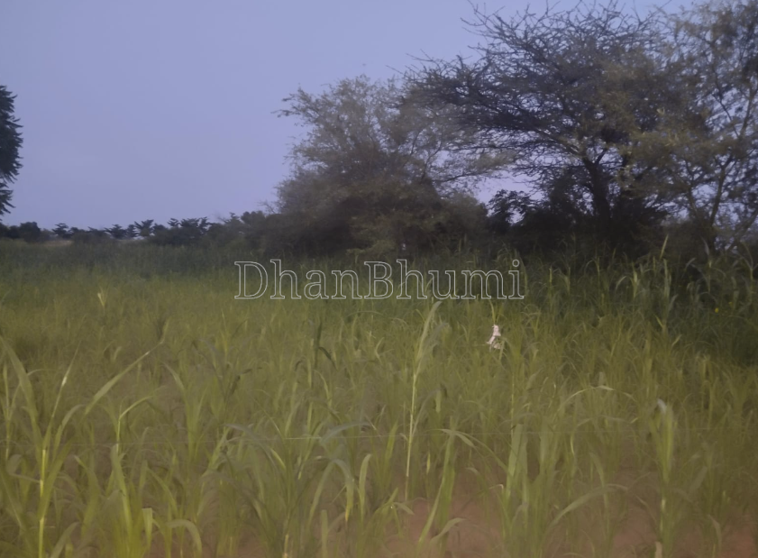 property_images/agricultural_in_sikar_1788162879_6a95333f3dc3c.PNG