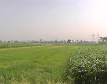 property_images/agricultural_in_sikar_1790075458_6ab262422a997.png