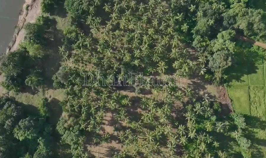 property_images/agricultural_in_sindhudurg_1782283546_6a3b7d1aa2e88.jpg