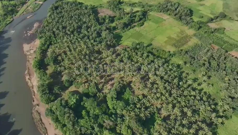 property_images/agricultural_in_sindhudurg_1782283546_6a3b7d1aa8471.jpg