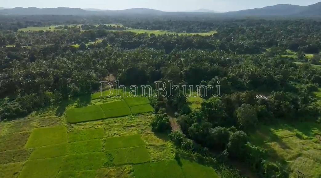property_images/agricultural_in_sindhudurg_1782283546_6a3b7d1aad3ae.jpg