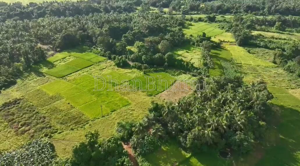 property_images/agricultural_in_sindhudurg_1782283546_6a3b7d1ab9ba9.jpg