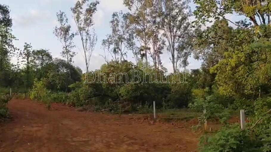 property_images/agricultural_in_sindhudurg_1782300114_6a3bbdd270409.jpg