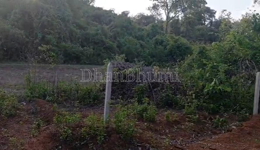 property_images/agricultural_in_sindhudurg_1782300114_6a3bbdd28c6da.jpg