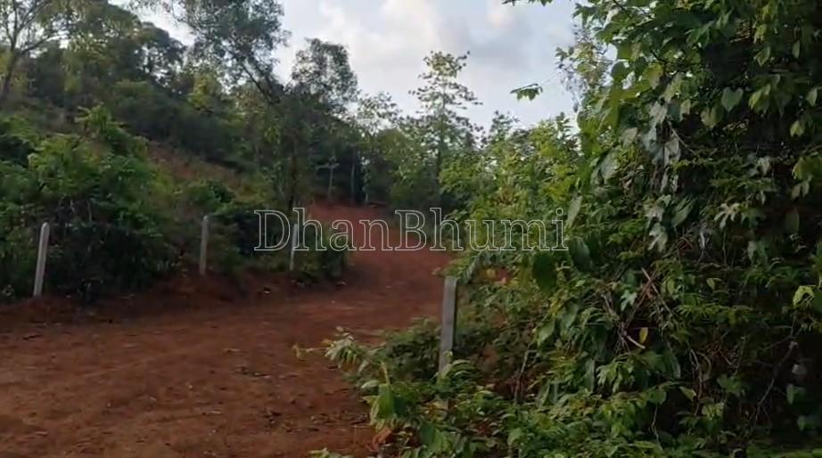 property_images/agricultural_in_sindhudurg_1782300114_6a3bbdd291b60.jpg
