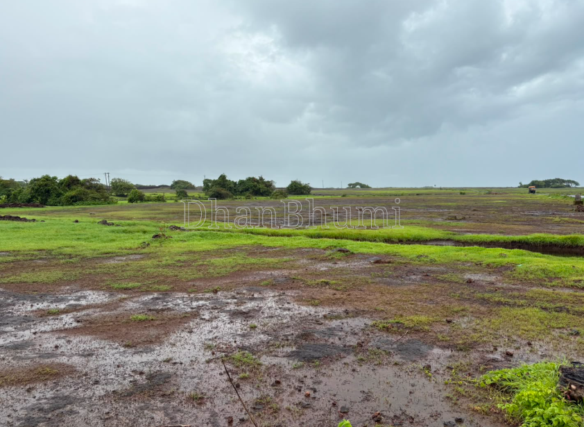 property_images/agricultural_in_sindhudurg_1786010956_6a745d4c23aca.png