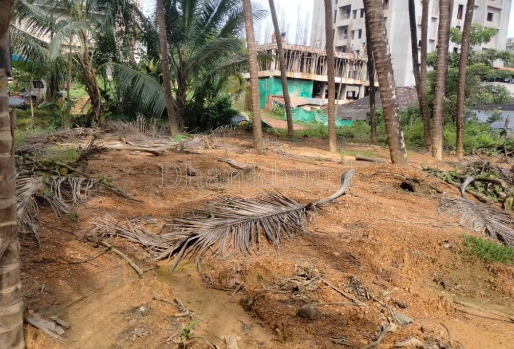 property_images/agricultural_in_sindhudurg_1788335960_6a97d7587acb2.png