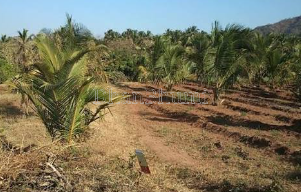 property_images/agricultural_in_sindhudurg_1788946040_6aa126784bcc9.png