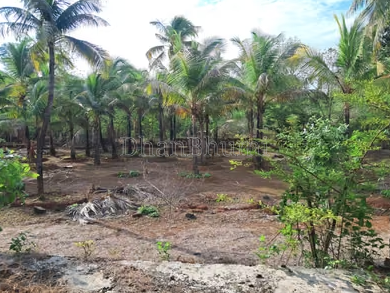 property_images/agricultural_in_sindhudurg_1788946040_6aa1267868516.png
