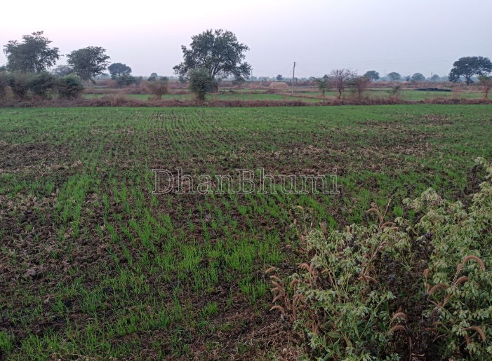 property_images/agricultural_in_singrauli_1785310022_6a69ab46169f7.PNG