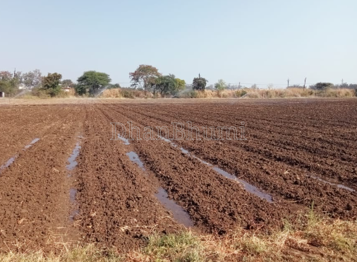 property_images/agricultural_in_singrauli_1787657260_6a8d7c2cb3f15.png