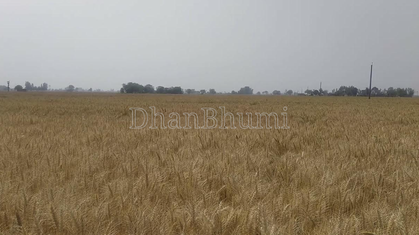 property_images/agricultural_in_sirmaur_1785401139_6a6b0f33e48c5.png