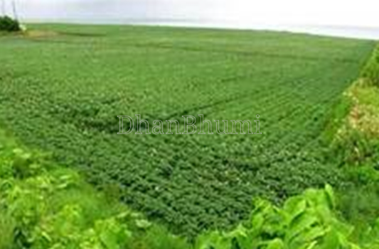 property_images/agricultural_in_sirmaur_1787290576_6a87e3d0ab054.png