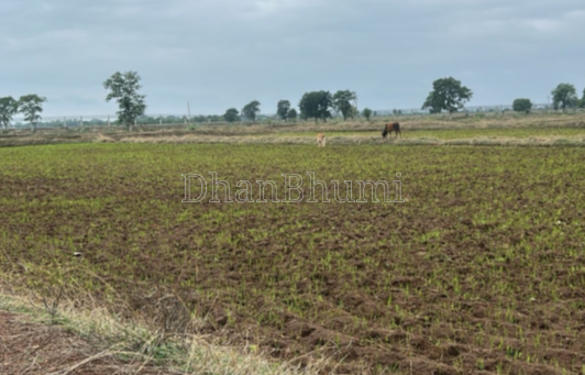 property_images/agricultural_in_sirmaur_1787290895_6a87e50f8baa1.png