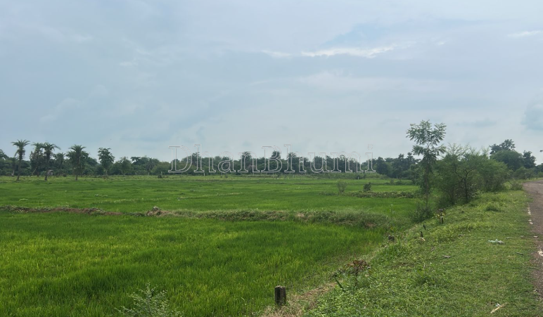 property_images/agricultural_in_sirmaur_1787291029_6a87e5950fa94.png