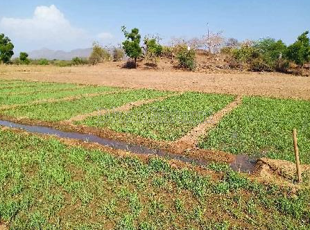 property_images/agricultural_in_sirohi_1781853744_6a34ee30e688a.PNG
