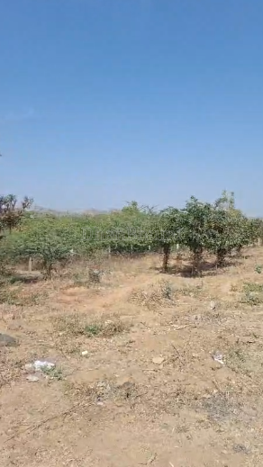property_images/agricultural_in_sirohi_1781865210_6a351afaf3129.PNG