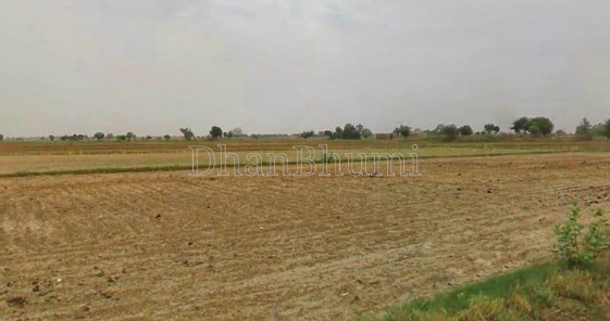 property_images/agricultural_in_sirohi_1791618754_6ac9eec27dcce.png