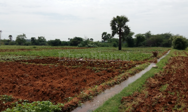 property_images/agricultural_in_sirsa_1788932525_6aa0f1addbd0f.png