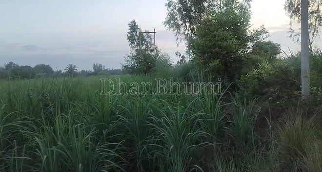 property_images/agricultural_in_sitapur_1786086279_6a758387ad98e.png