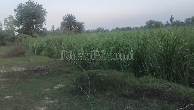 property_images/agricultural_in_sitapur_1786086286_6a75838e6bb9a.png