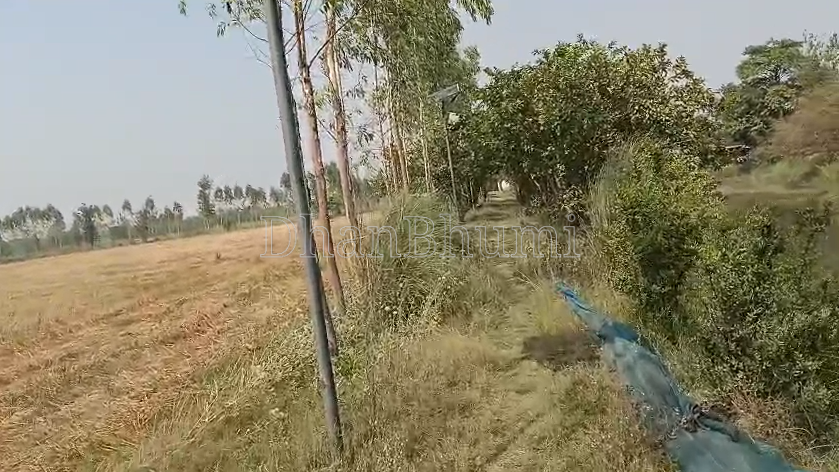 property_images/agricultural_in_sitapur_1786098632_6a75b3c873b42.png