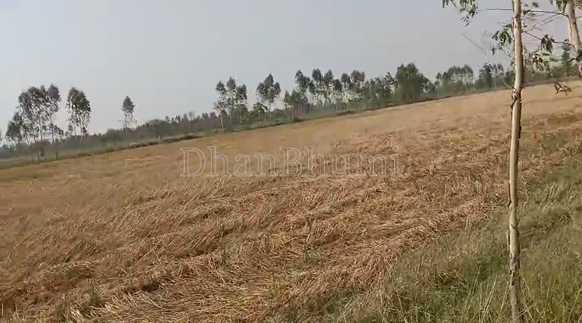 property_images/agricultural_in_sitapur_1786098632_6a75b3c89ae5c.png