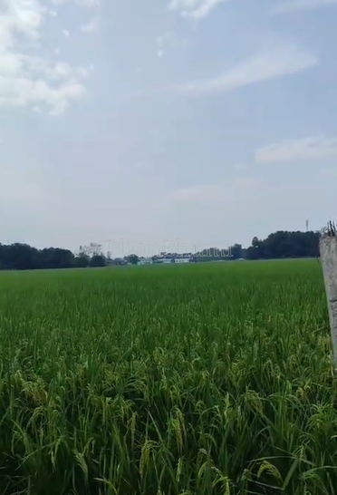 property_images/agricultural_in_sitapur_1789975397_6ab0db65521cc.png