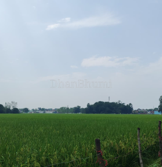 property_images/agricultural_in_sitapur_1789975397_6ab0db6571b44.png